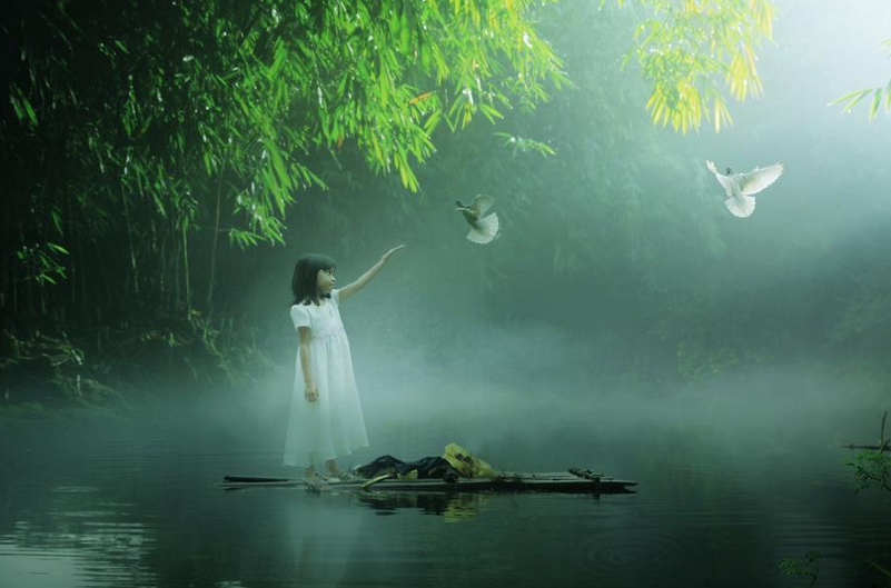 livre fluxo do qi na medicina chinesa e psicologia